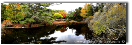 "mytoi japanese garden autumn  2"
chappaquiddick island